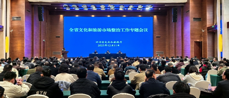 四川省文化和旅游厅与乐器销售 政策引导、市场监管与产业发展观察